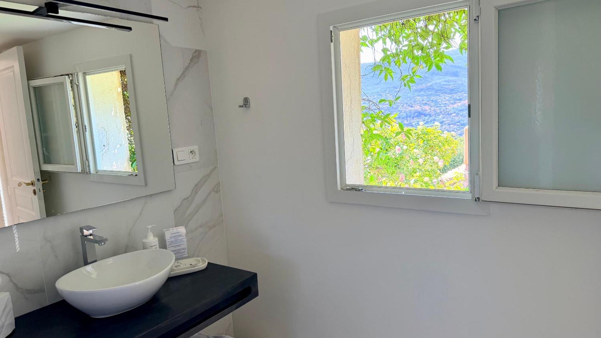 Deluxe Double Room Shower