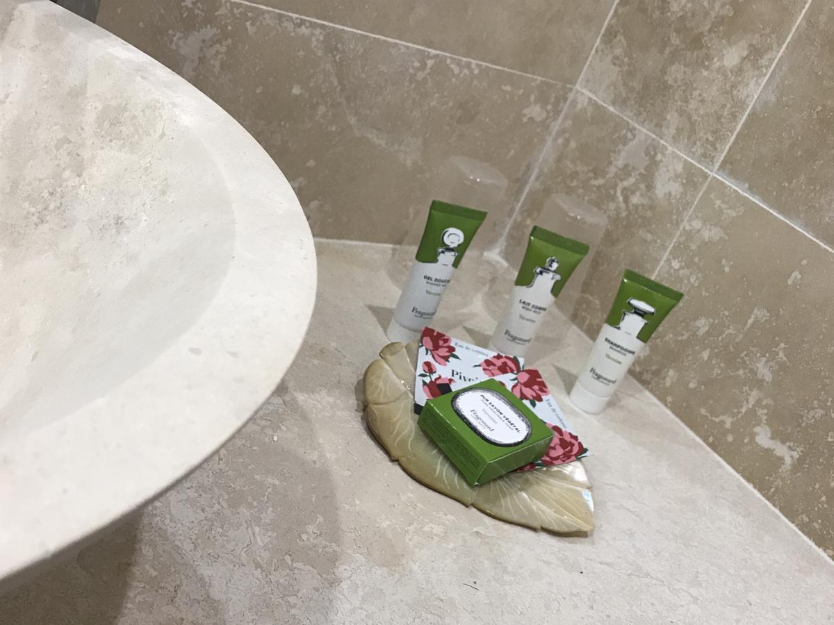 Deluxe Double Room Shower